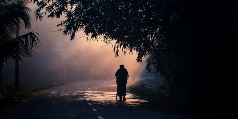 Walk in nature and derive a myriad of health-related benefits.